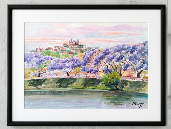 Anosy Jacaranda